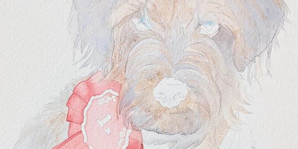 Custom pet portrait of a dog, first layers of watercolour being built up carefully