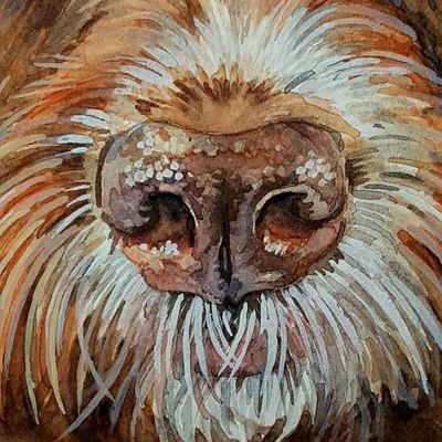 Close up of a watercolour painting showing the layers and details of a dogs nose