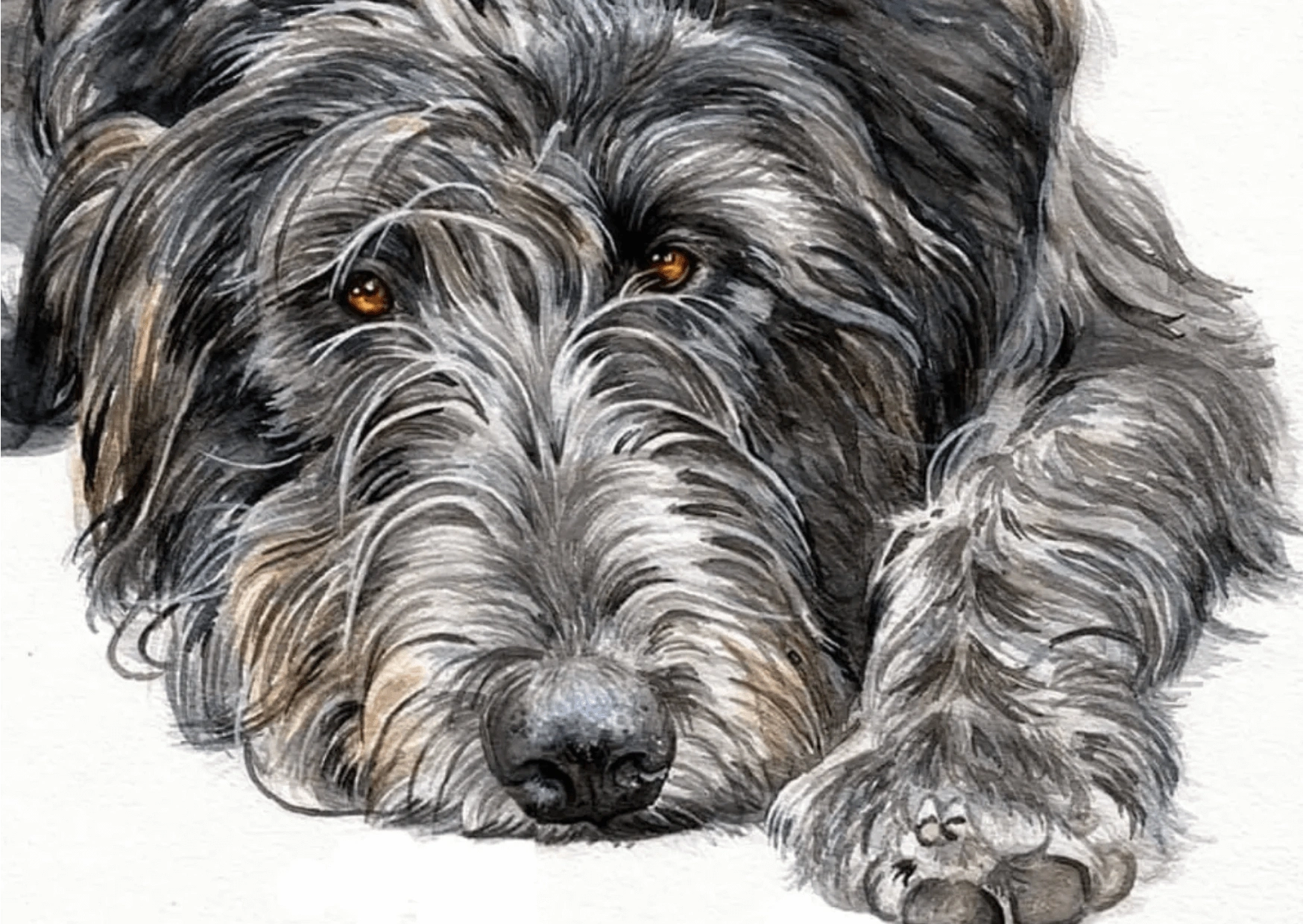 Irish Wolfhound pet portrait, by UK watercolour artist Jo Shepherd, capturing the dogs soulful eyes