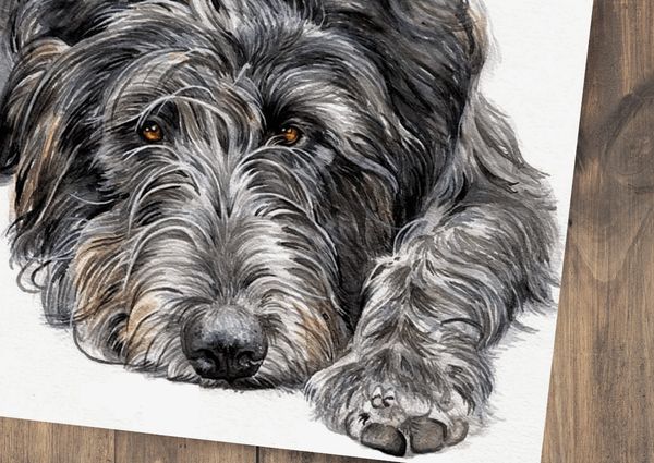 A watercolour painting of a gorgeous grey Irish wolfhound with soulful brown eyes