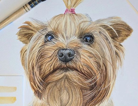 Jo shepherd pet portraits hand-Painted watercolour commission of a Yorkshire terrier