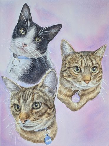 A large custom cat portrait featuring the head and shoulders of three cats