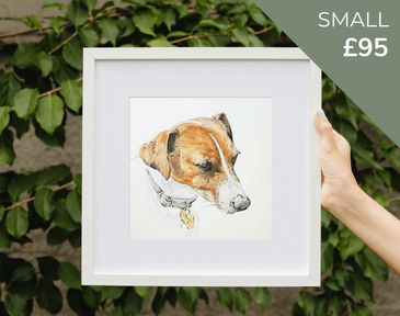 Small pet portrait in watercolour.  6x6 inches, £95. A thoughtful gift for pet lovers