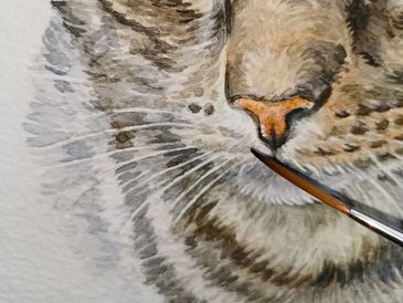 Watercolour pet portrait of a tabby cat being painted by Jo Shepherd - close up showing brush work
