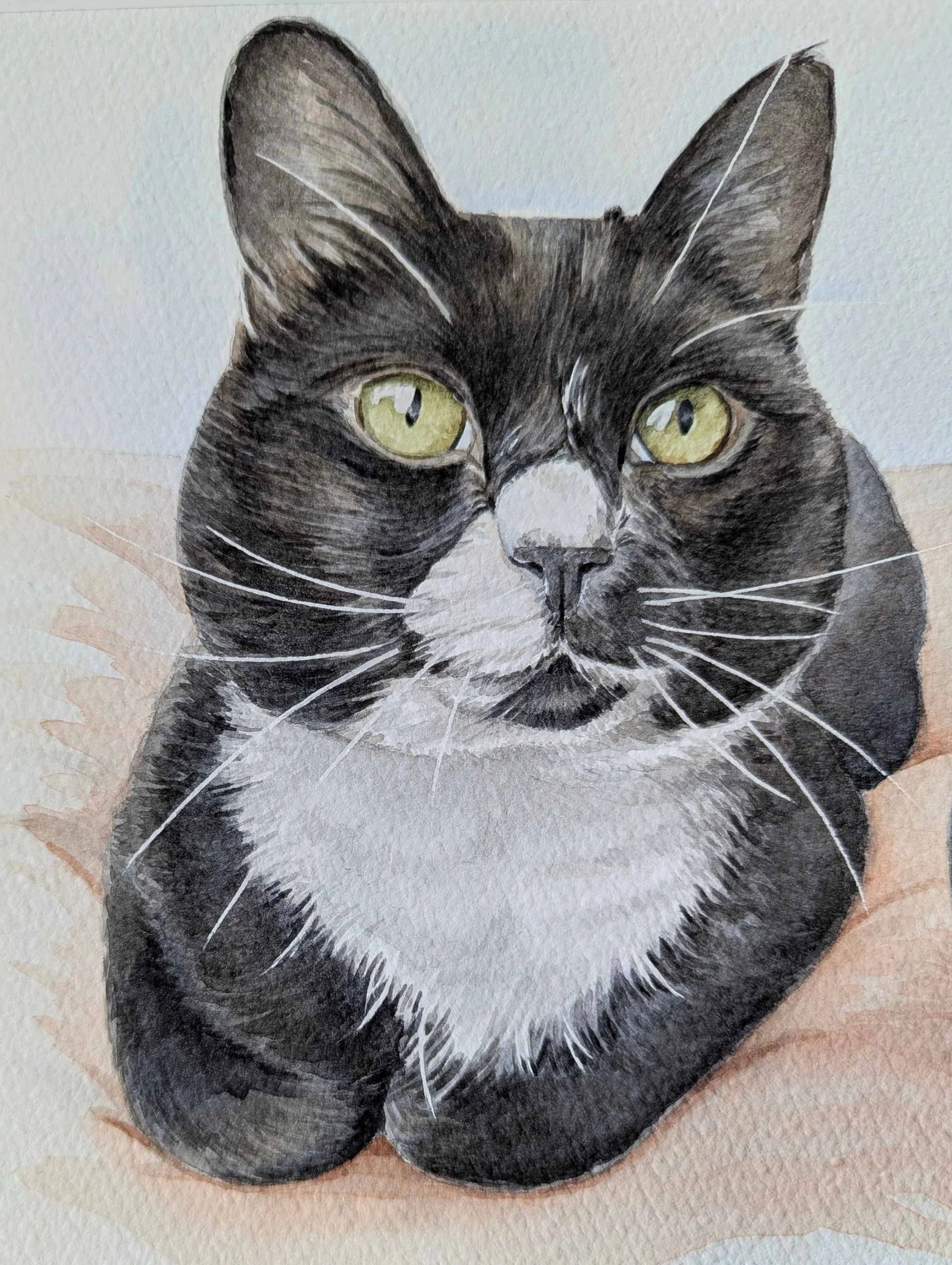 Very detailed watercolour pet portrait of a black and white tuxedo cat