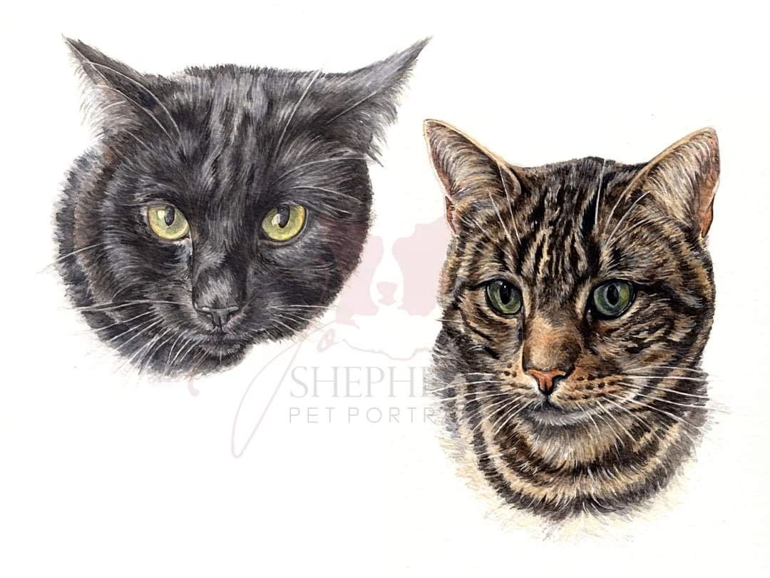 Watercolour painting of a black cat and a tabby cat, highly detailed capturing unique features