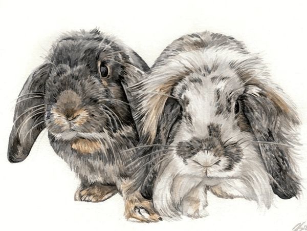 Watercolour pet portrait of two lop eared rabbits capturing exquisite detail