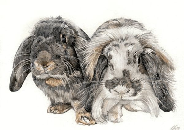 Watercolour pet portrait of two lop eared rabbits capturing exquisite detail
