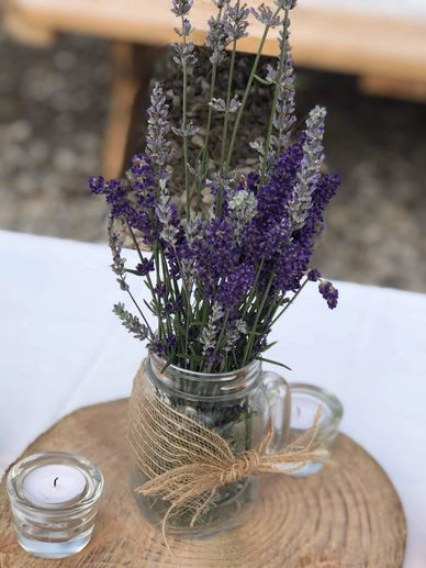 Lavender for sale