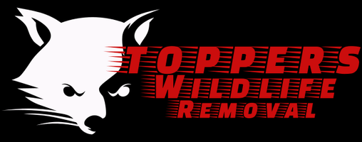 Topper's Wildlife Removal