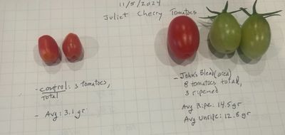 Tomato crop comparison, trial 5