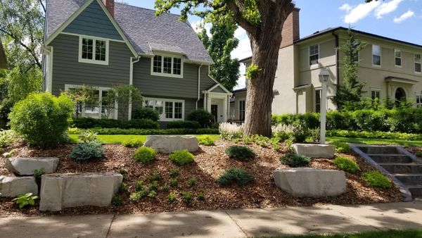 Boulevard Planting, limestone outcroppings, natural plantings