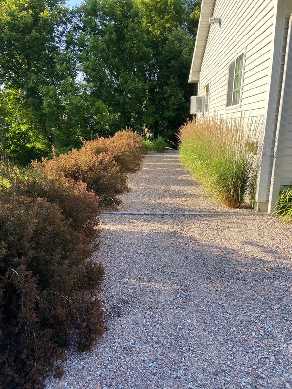 Ornamental Grasses, Ninebark, Foliage Color