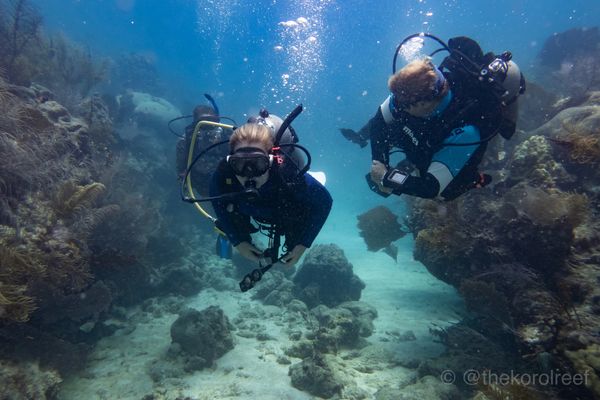 scuba divers reef fish looe key