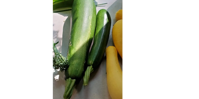 Zucchinis are a delicious summer squash that is easy to grow if you have the room and are great in m
