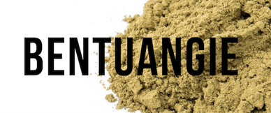 Organic Kratom - Bentuangie Front Page Link Title Image for the Home page of OrganicKratom.us