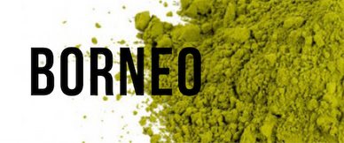 Organic Kratom - Borneo Front Page Link Title Image for the Home page of OrganicKratom.us