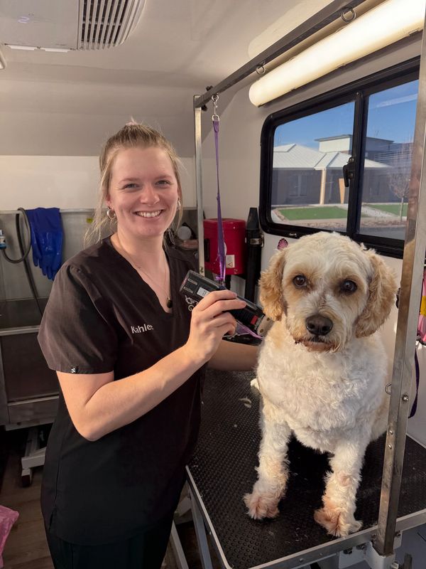 Kahlee - Dog Groomer