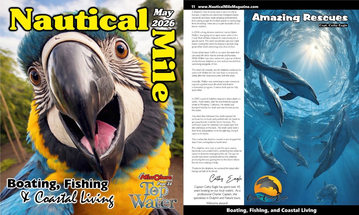 Close-up of a colorful parrot on the Nautical Mile magazine cover, May 2026.
