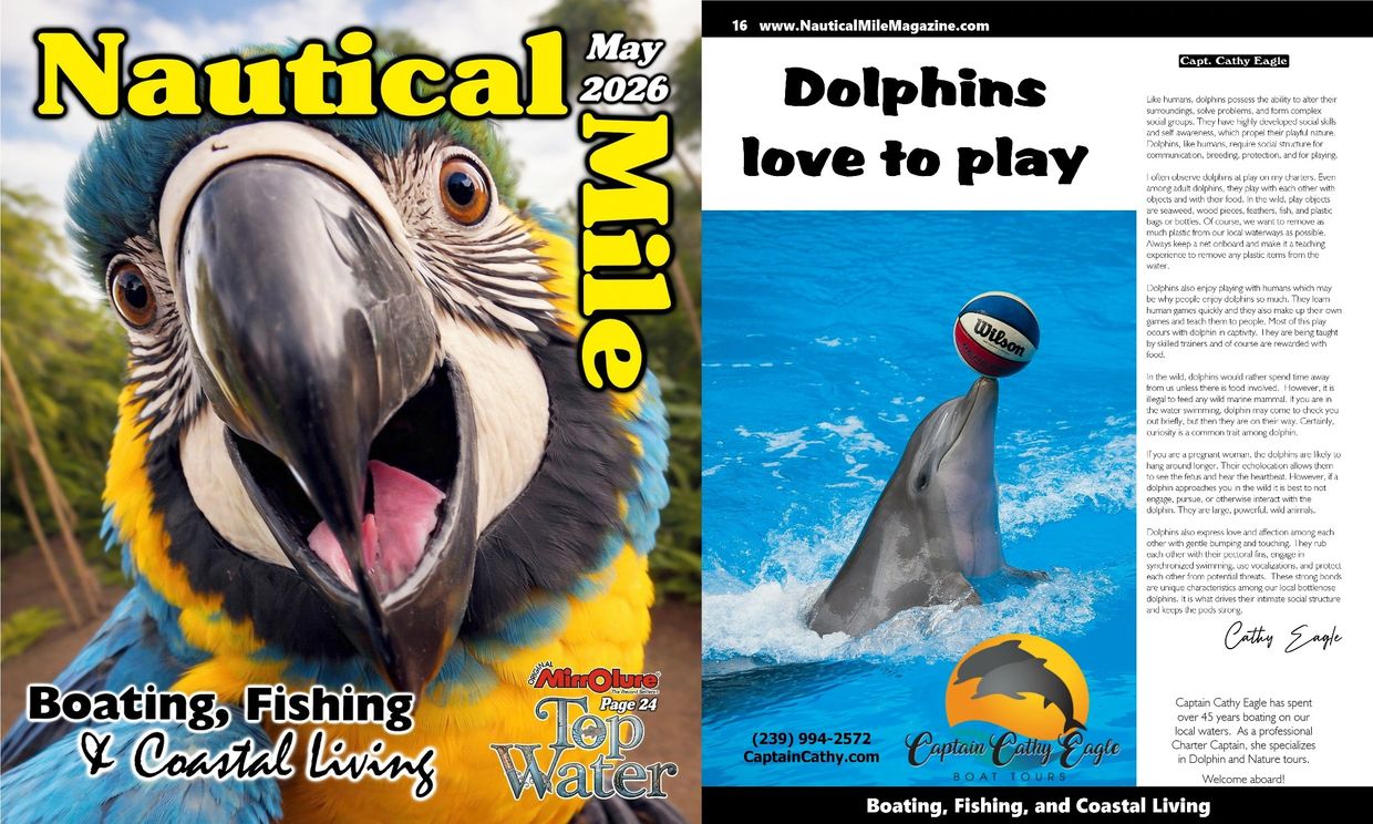 Close-up of a vibrant parrot on the May 2026 cover of Nautical Mile magazine.