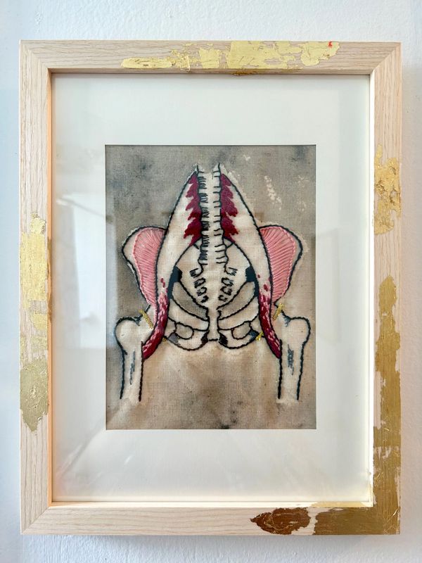 Framed embroidery of a human pelvic skeleton with pink muscles on aged fabric.