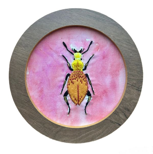 Colorful embroidered insect on pink fabric framed in wood.