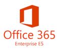 Office 365 Professional