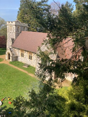 Hazardous large hanging branch removal at Kingston Lacy Church, Wimborne