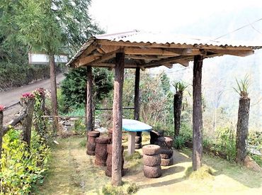 Homestays In Kolakham Hotels