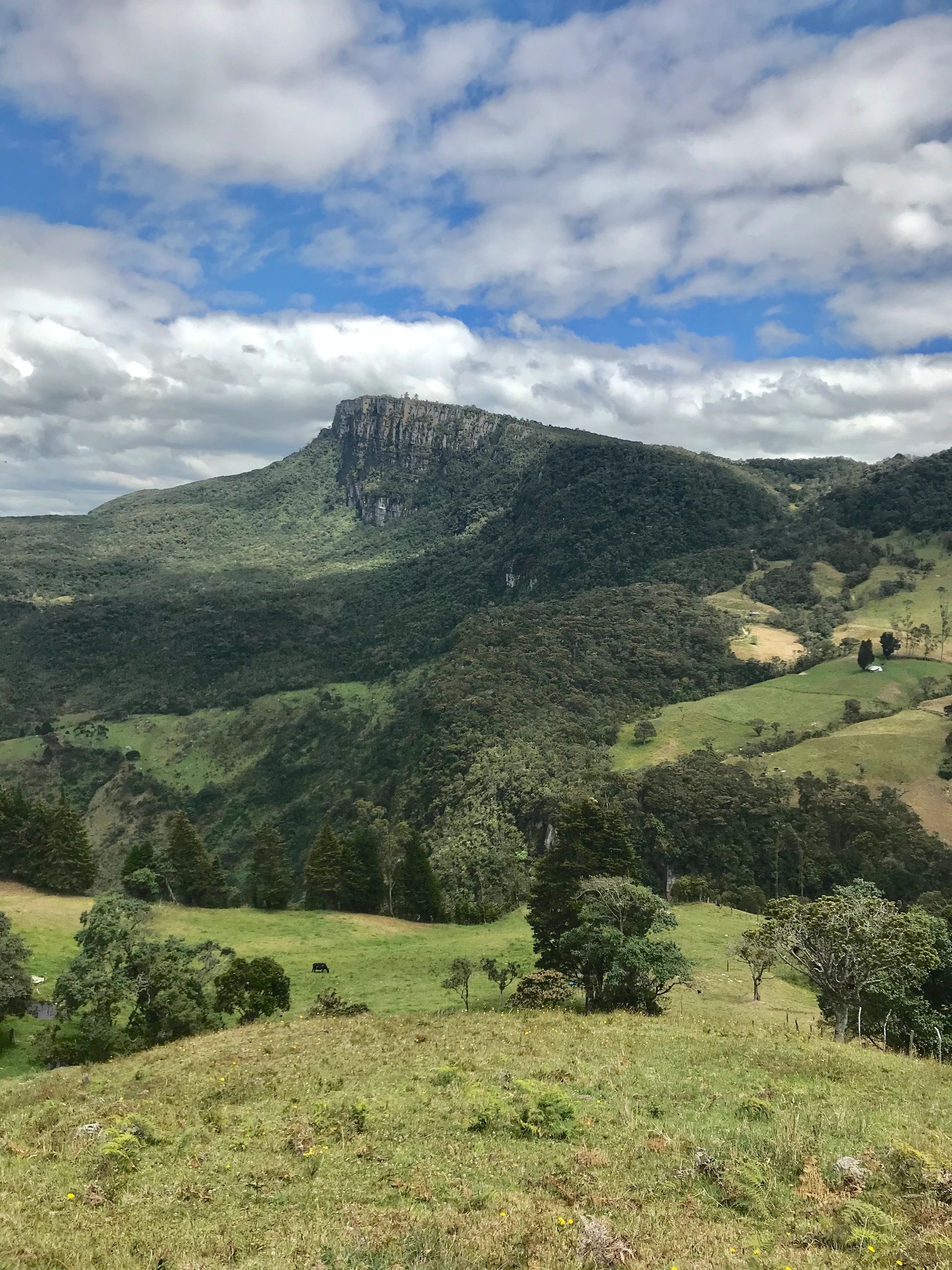 Un lugar con una vista maravillosa en los bosques l y montañas que cuenta con abundante vegetacion.