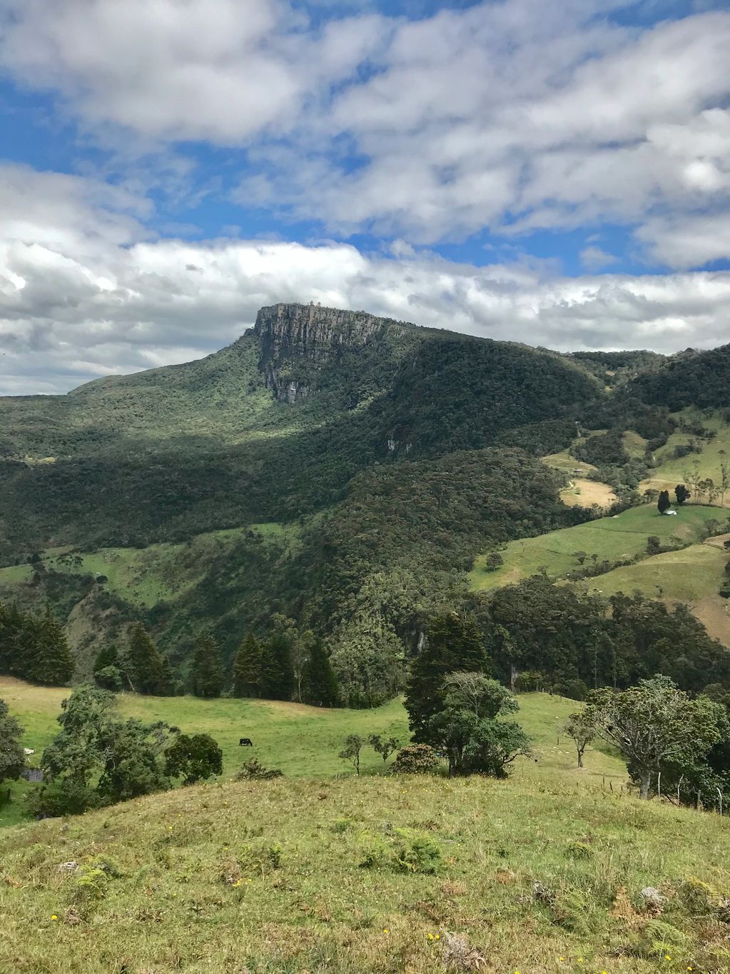 Un lugar con una vista maravillosa en los bosques l y montañas que cuenta con abundante vegetacion.