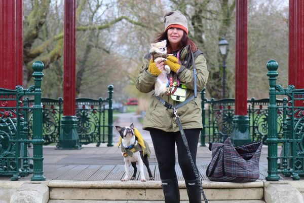Dog Walker, Clapham, Dog Walking, Clapham, South London, Balham