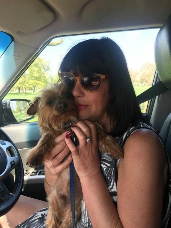 Dog Walker, Clapham, Dog Walking, Clapham, South London, Balham