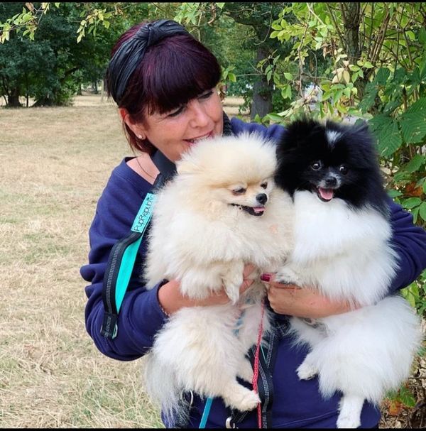 Dog Walker, Clapham, Dog Walking, Clapham, South London, Balham