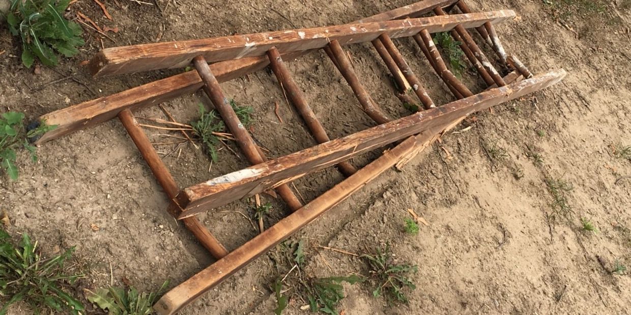 5.01 This Trust is established to benefit the beneficiaries who are named or described in this Trus