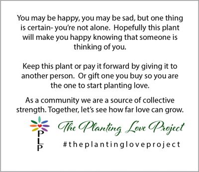 The Planting Love Project plant tag