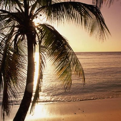 Cremation Services By The Sea in North Palm Beach Florida.