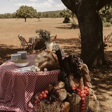 Mesa campestre con panes y productos artesanales bajo una encina.