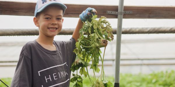 Smiling boy holding freshly picked greens in a greenhouse.