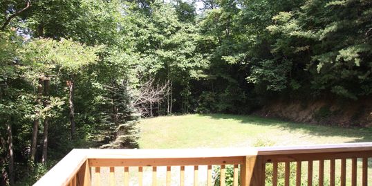 One view from the deck at the Little Creek cabin in Hendersonville, N.C.