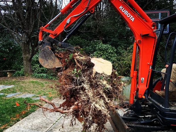 Excavating High Point, NC
Excavating Greensboro, NC
Excavating Kernersville, NC