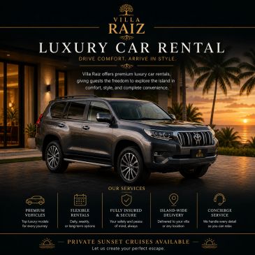 Luxury car rental service with premium vehicles and concierge service at sunset.