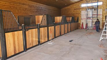 Modern indoor horse stalls with wooden panels and black metal bars.