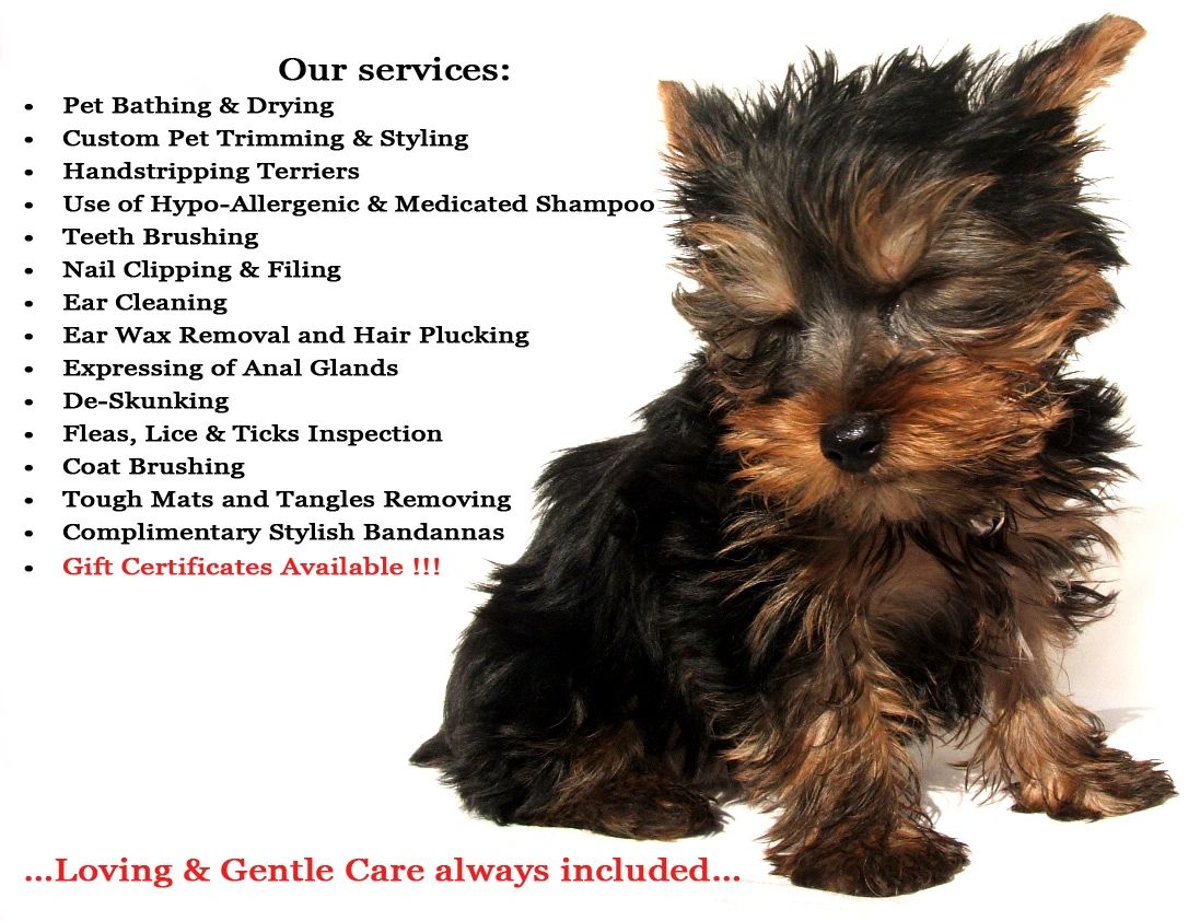 Legacy sales pet grooming