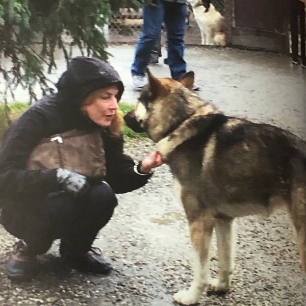 A vibrant sunset over a serene lake, reflecting colorful hues on the water's surface.