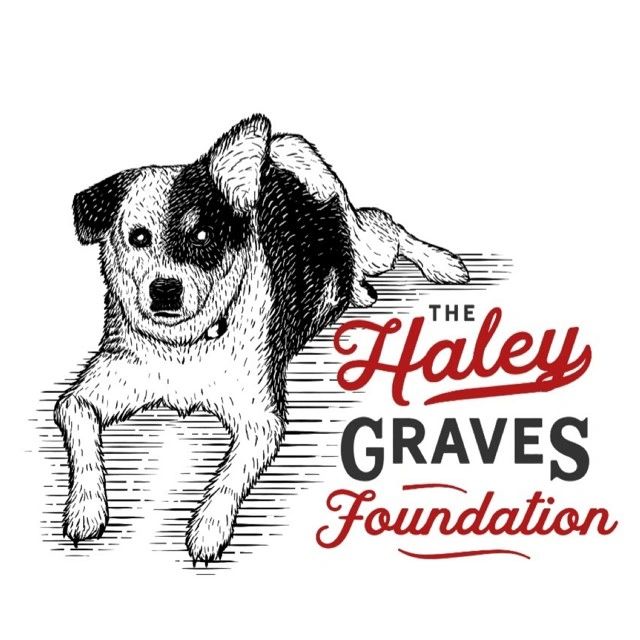 A dog with one ear and one ear down. Logo for The Haley Graves Foundation.