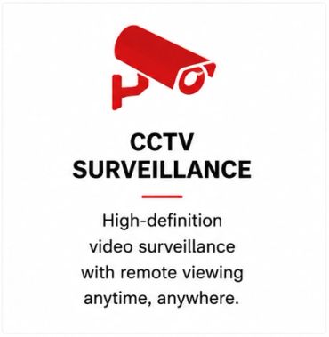 Icon and text about CCTV surveillance with remote viewing.