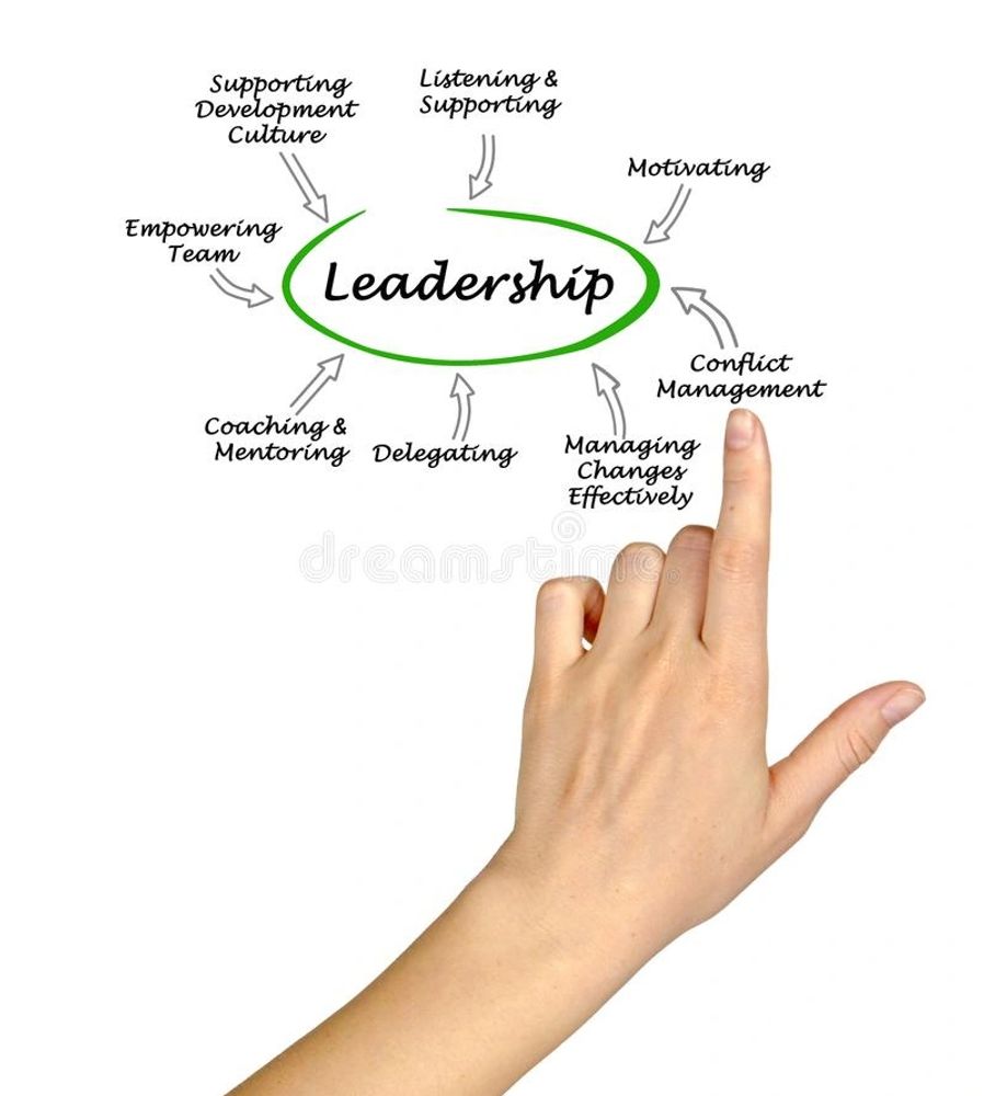 leadership development and coaching programs usa