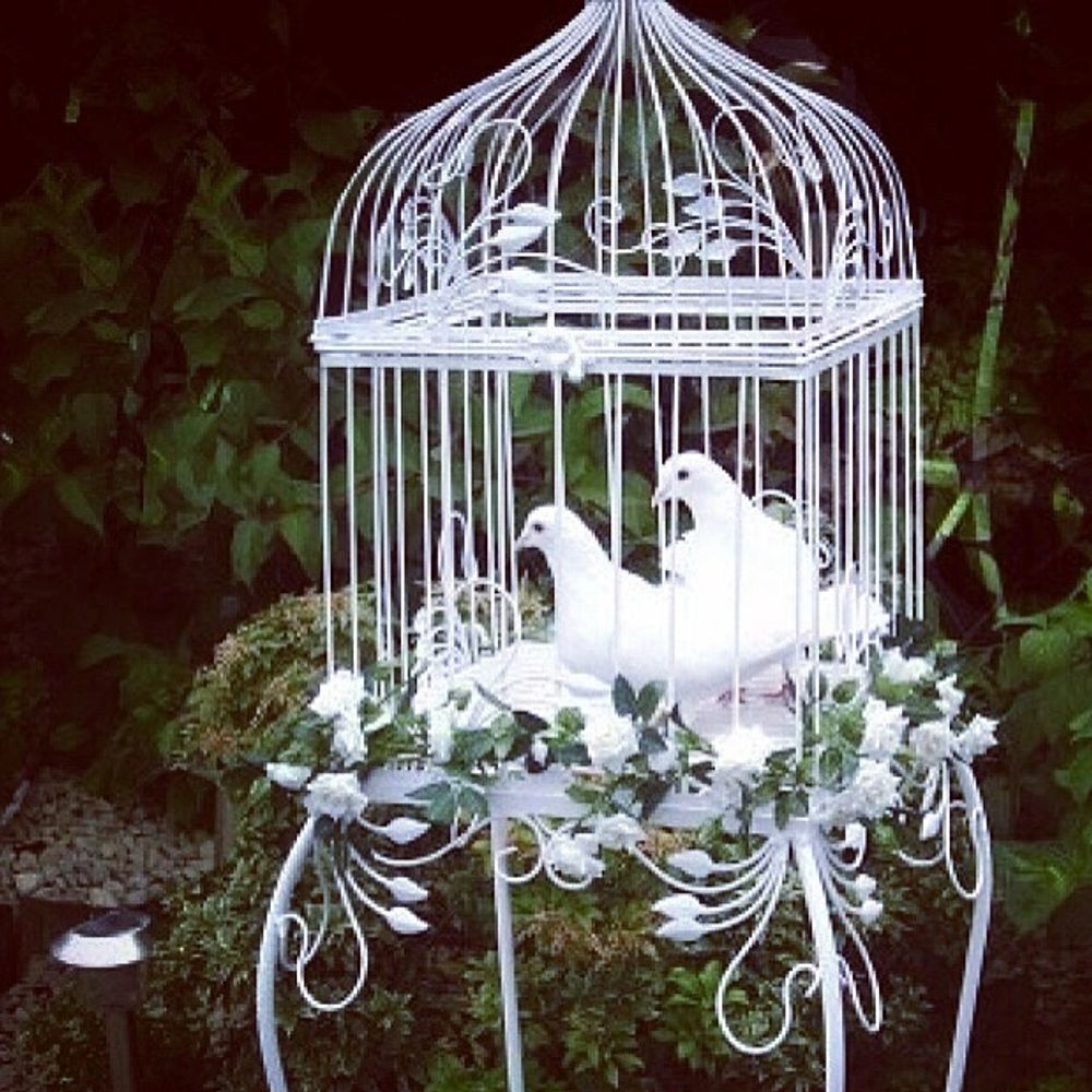 Wedding doves display from True Dove Ways Cheshire for Wedding Doves