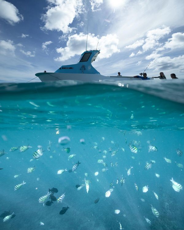 Adventures In Paradise Oahu Honolulu Hawaii Surf Lessons Waikiki Beach